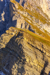 Seceda mountain in Val Gardena, Italy, autumn