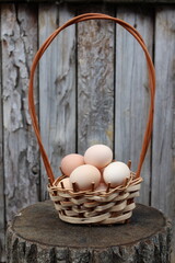 basket of eggs