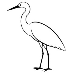 Obraz premium Snowy Egret silhouette vector black outline, white background