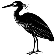 Fototapeta premium Snowy Egret silhouette vector black outline, white background