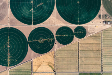 Aerial view of irrigation circles in the USA showcasing agricultural patterns