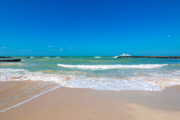 Pristine beach in Sharjah on a sunny day, with golden sand stretching along the shoreline. The calm turquoise waters gently lap against the shore, under a clear, cloudless blue sky.