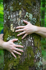 Nature lover hugging trunk tree - nature loving, fight global warming.