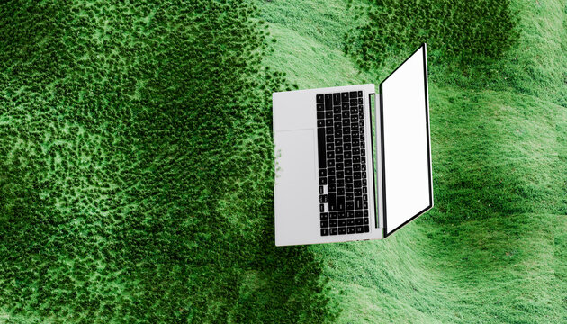3D render of a laptop with a blank screen on a vibrant green grass background