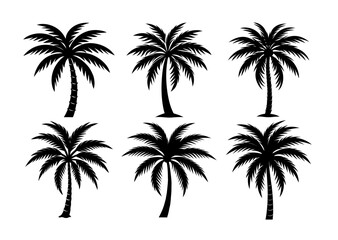 Set of six black silhouette palm trees, tropical nature vector illustration, isolated on white background.