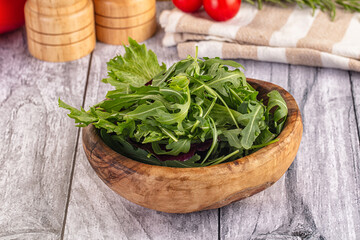 Fresh green ruccola salad leaves