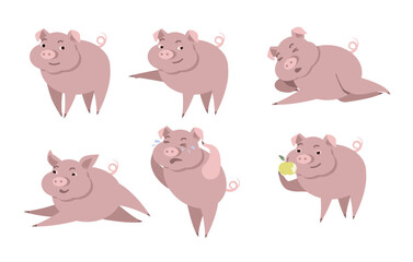 piglettes-cur