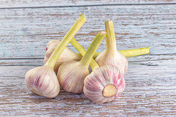 Raw young garlic bulb heap