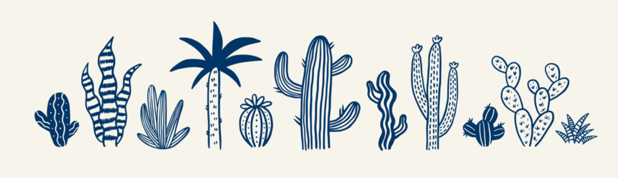 Hand drawn cactus plant doodle set. Succulents plants outline clipart. Ink boho botanical elements