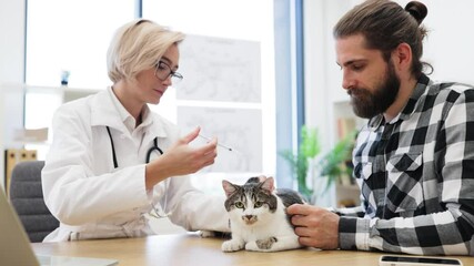 Scene shows veterinarian vaccinating cat with male owner assisting. Represents pet care responsible pet ownership. Woman veterinarian demonstrating professional care during animal health procedure.