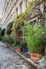 Greening the sidewalk in a dead end street in Paris