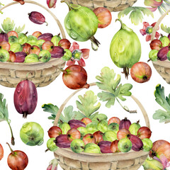 Gooseberry Currant in weaved basket with leaves, hand drawn in watercolor, scattered ripe picked berry harvest. Isolated seamless pattern. Dessert cafe menu, cookbook, craft farmers market, gardening