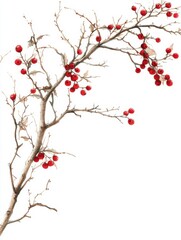 Fototapeta premium Watercolor Branch with Red Berries on White Background Artistic Botanical Illustration Seasonal Festive Element Natural Beauty Decorative Detail Elegant Simplicity