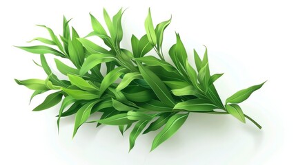 Fototapeta premium A bunch of fresh tarragon leaves isolated on a transparent white background, with narrow, pointed leaves and a rich green hue 