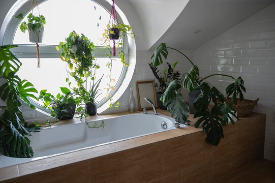 Beautiful bathroom decorated with many home plants and a circular window
