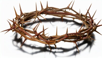 crown of thorns isolate on transparent background