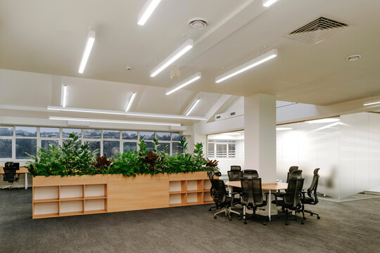 Modern office interior with green plants and open plan design