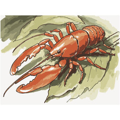 Loose hand-drawn crayfish illustration. Organic. Watercolor. Coloring. Color. Vector