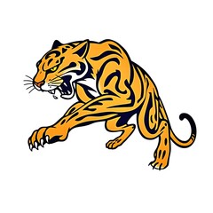 Wild striped tiger vector illustration, a feline predator