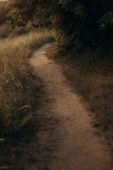 dirt road through the woods