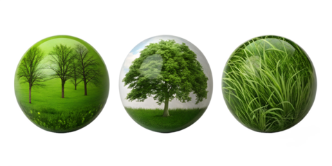Small Green Globe with Trees in Three Styles on White - Earth Globe, Green Planet, Nature Icon, Cut Out