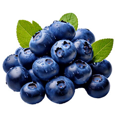 blueberries isolated on white