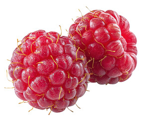 raspberry on white background