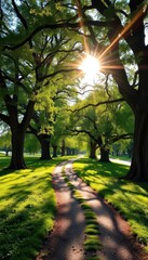 Obraz premium Sun-dappled green path winding between ancient oak trees, path, peaceful