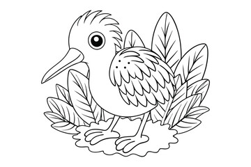 Birds Coloring book for kids