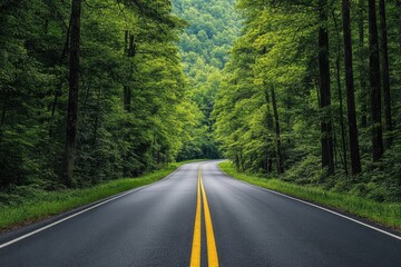 Fototapeta premium Serene Road Through Lush Green Forest Canopy Inviting Travel and Adventure Nature's Embrace Scenic Route Peaceful Journey Road Trip Landscape