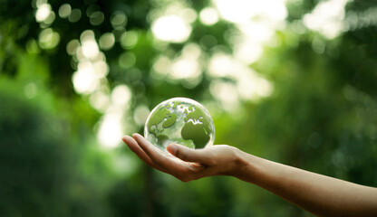 Environment and green world Green glass globe on hand green bokeh background