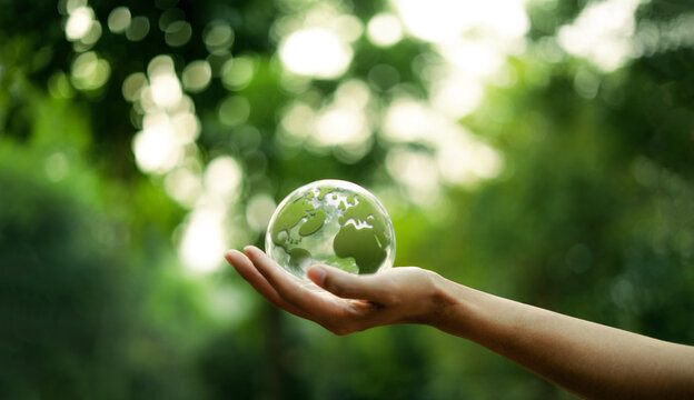 Environment and green world Green glass globe on hand green bokeh background
