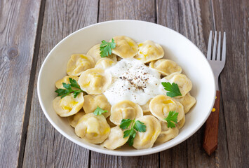 Homemade Russian dumplings. Pelmeni. Traditional Russian Food.