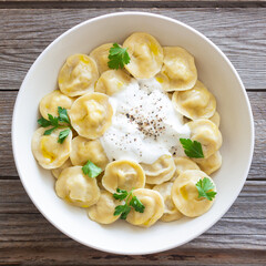 Homemade Russian dumplings. Pelmeni. Traditional Russian Food.