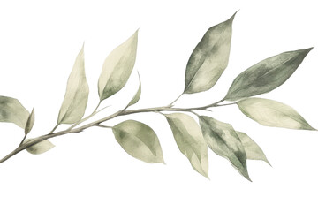 Obraz premium Graceful Bamboo: A Minimalist Botanical Illustration.