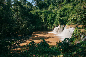 The Serene Cascade: Lush greenery frames a cascading waterfall, where water plunges into a serene pool, crafting a scene of untamed natural beauty and tranquility.
