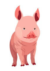 Pig set flat cartoon isolated on white background. Pink pig vector illustration