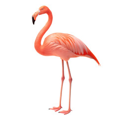 Obraz premium Flamingo AI Generated Image