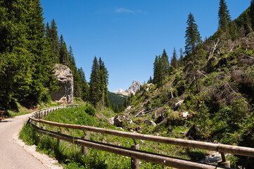 mountain landscape along the San Nicolò trail, Pozza di Fassa, val di Fassa, Dolomites, Italia