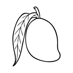 mango line vector illustration