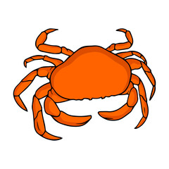 crab vector illustration