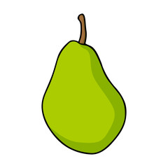 pear vector illustration