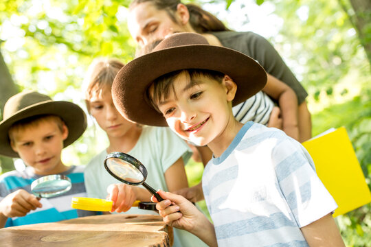 School children examining annual rings of a tree trunk