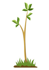 Stage of tree growth. Small tree growth with green leaf and branches. Illustration of business cycle development