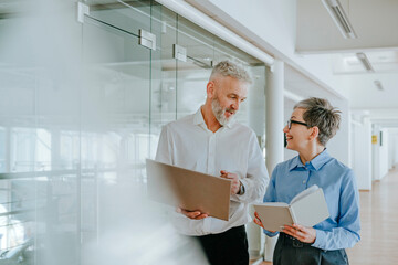 Mature business professionals discussing in an office environment