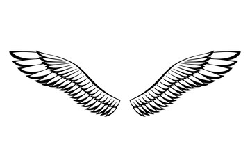 Wings sketch. Stylized birds wings. Hand drawn contoured stiker wing in open position. design elements in coloring style