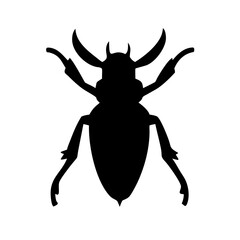 Beetle silhouette