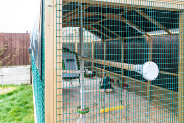 Shallow focus of a wire mesh on a private, back garden hen and bantam enclosure located in a typical back garden in the UK. Some of the chicken perches and swings are visible. © Nick Beer