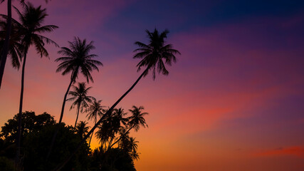 Banner Summer with colorful theme as palm trees background as texture frame