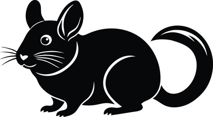 black and white rabbit